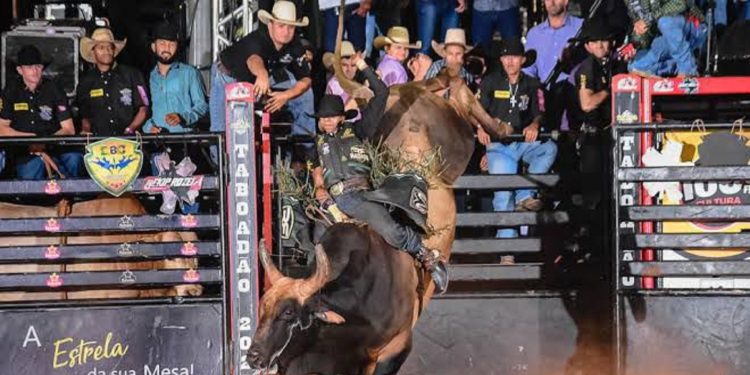 Organizadores garantem: Rodeio da Exposama terá o maior prêmio e a maior estrutura já montada no estado