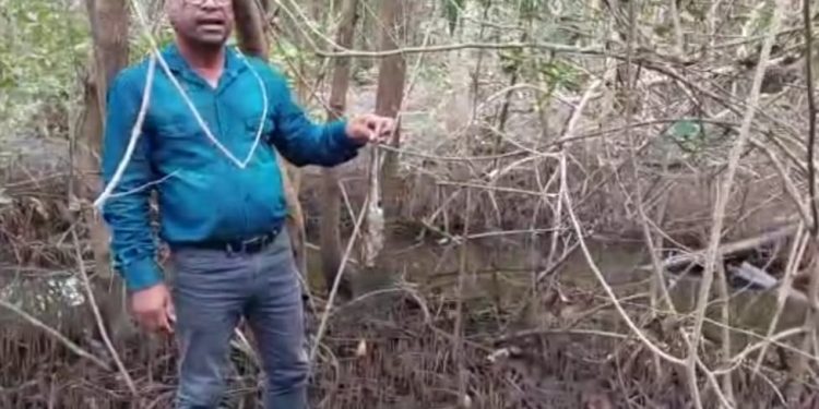Adeci de Sena flagra peixes mortos em rio de Campo Grande