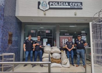 Polícia identifica suspeitos de furtar e receptar 56 sacas de café no ES