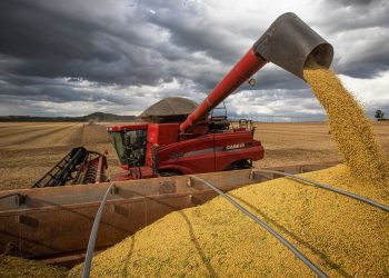 IBGE estima safra recorde de 261,9 milhões de toneladas em 2022