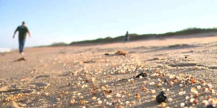 Resíduos de óleo aparecem em praias de São Mateus e Conceição da Barra