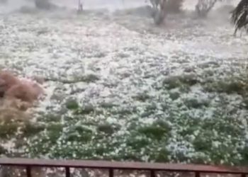 Chuva de granizo destrói lavoura de café em Águia Branca