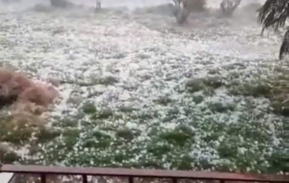 Chuva de granizo destrói lavoura de café em Águia Branca
