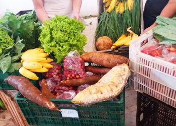 Setades realiza consulta pública para Plano Estadual de Segurança Alimentar
