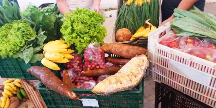 Setades realiza consulta pública para Plano Estadual de Segurança Alimentar