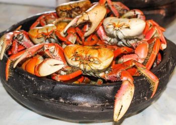 8º Festival do Caranguejo vai movimentar Pontal do Ipiranga em dezembro