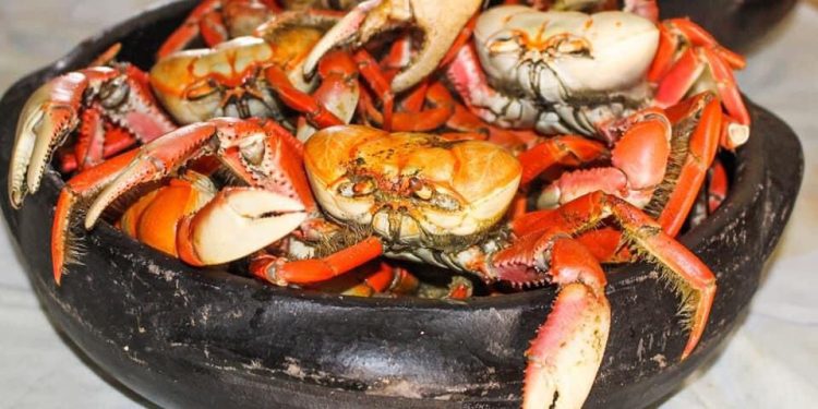 8º Festival do Caranguejo vai movimentar Pontal do Ipiranga em dezembro