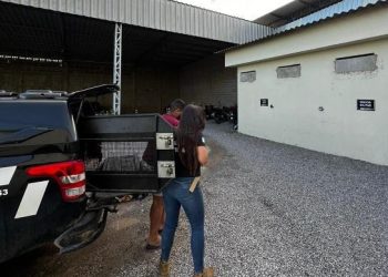 Homem é preso suspeito de distribuir drogas em São Mateus