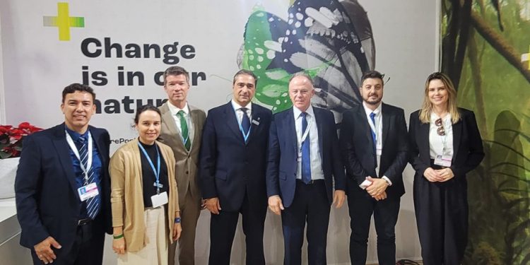 Conservação Internacional vai reflorestar até três mil hectares no norte do Espírito Santo