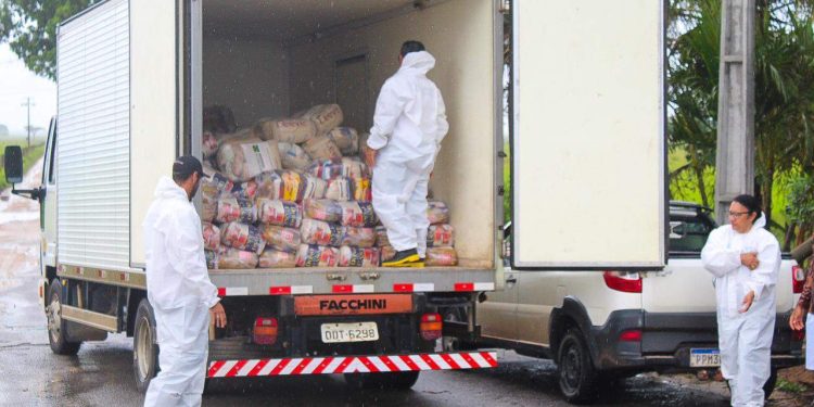 Solidariedade: veja onde, como e o que doar para famílias atingidas pela chuva no ES