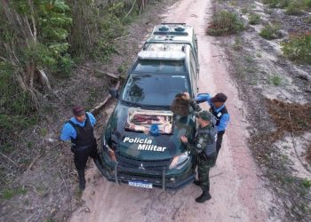 Polícia Militar Ambiental apreende armas, munições e animais abatidos em ações contra caçadores no norte do Espírito Santo