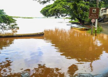 Rio Doce ultrapassa cota de alerta em Linhares e famílias do bairro Olaria são orientadas sobre risco de alagamentos