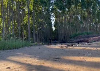 Idoso que estava desaparecido foi morto a pauladas e teve corpo incendiado, diz polícia