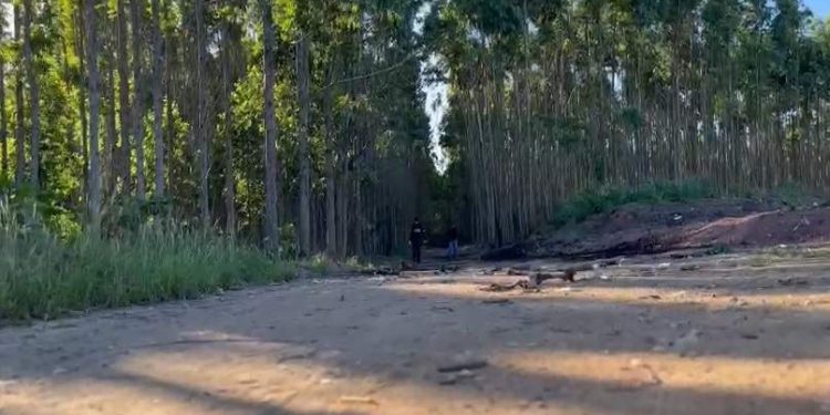 Idoso que estava desaparecido foi morto a pauladas e teve corpo incendiado, diz polícia