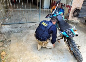 Ações da PRF resultam em prisões, apreensão de droga e veículos recuperados nesta quarta no ES