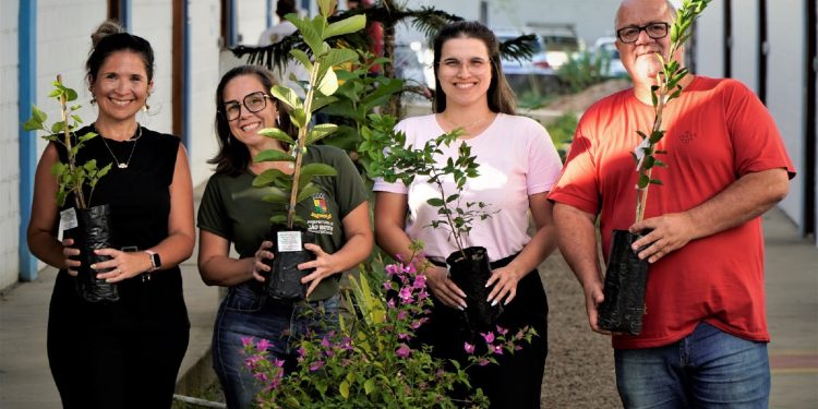 Dia Internacional da Mulher com cursos de capacitação e doação de mudas frutíferas em São Mateus