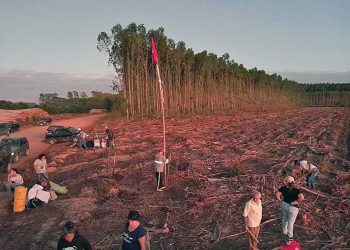 MST invade fazendas da Suzano na primeira onda de ações no novo governo Lula