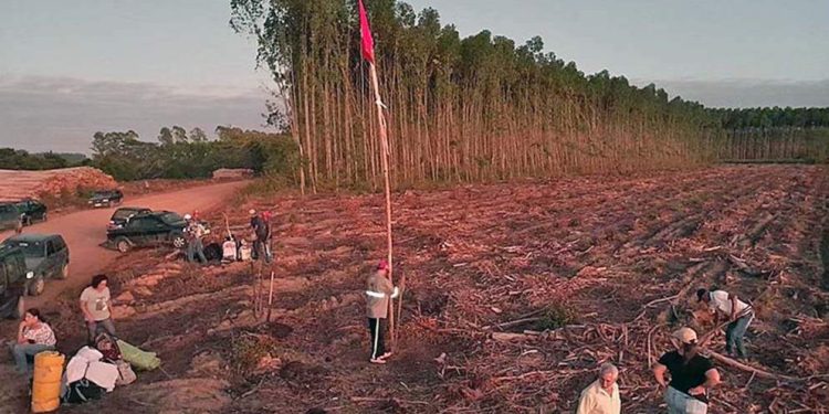 MST invade fazendas da Suzano na primeira onda de ações no novo governo Lula