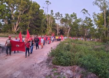 Justiça manda desocupar área da Suzano invadida pelo MST na Bahia e fixa multa