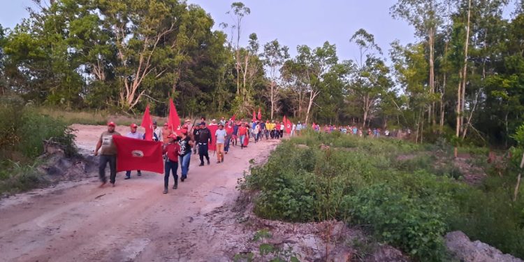 Justiça manda desocupar área da Suzano invadida pelo MST na Bahia e fixa multa