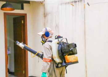 Linhares registra 1.240 casos de dengue e Vigilância Ambiental intensifica ações de combate a doença