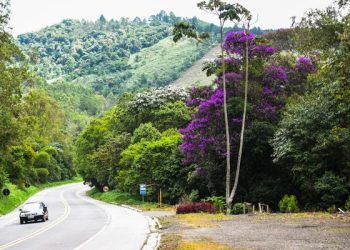 Publicação de edital permite elaboração de projeto de duplicação da BR-262 no Espírito Santo