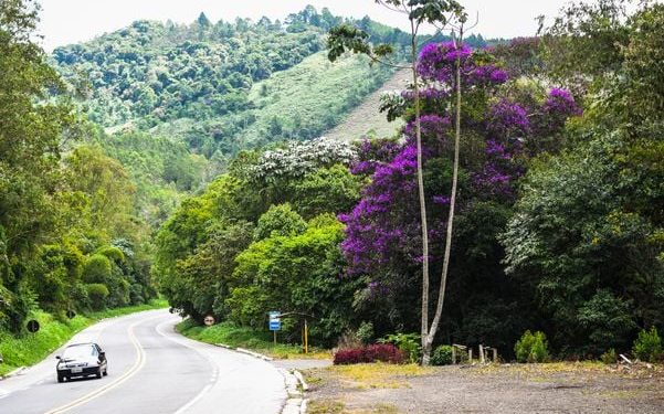 Publicação de edital permite elaboração de projeto de duplicação da BR-262 no Espírito Santo