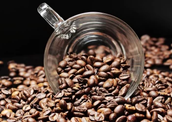 Startup defende que beber café é racismo: “Supremacia branca”