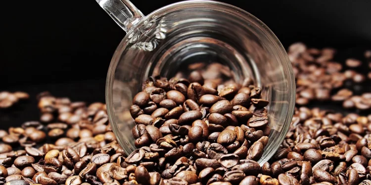 Startup defende que beber café é racismo: “Supremacia branca”