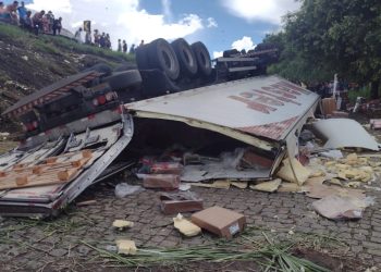 Caminhão tomba e carga de frango é saqueada em João Neiva
