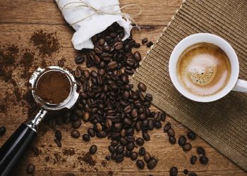 Mulheres ganham destaque na produção de cafés especiais em Linhares