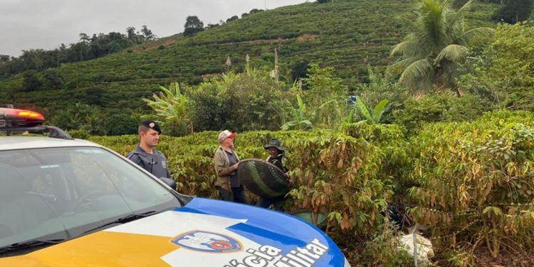 Governo do Estado lança Operação Colheita 2023