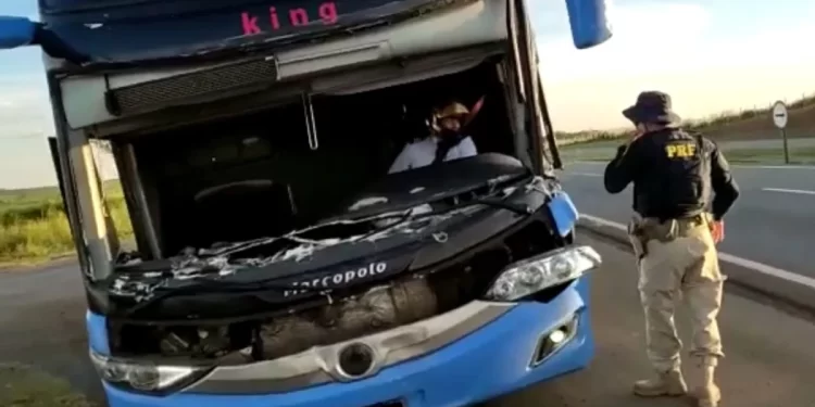 Motorista usa capacete de moto ao dirigir ônibus sem para-brisa