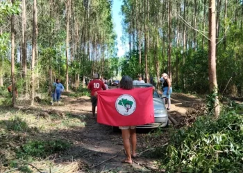 MST invade área da Suzano em Aracruz, no Espírito Santo