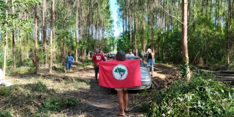 MST invade área da Suzano em Aracruz, no Espírito Santo