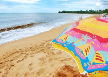 Ministério do Turismo abre inscrições para curso gratuito de Turismo Responsável