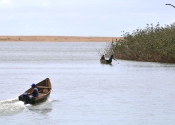 Rio Doce: painel vê reparação de longo prazo e Renova admite problemas