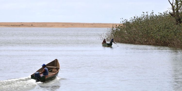 Rio Doce: painel vê reparação de longo prazo e Renova admite problemas