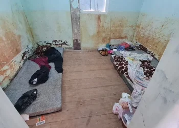 Trabalhadores de AL e SE são resgatados de condições análogas à escravidão em fazenda de café no município de Vila Pavão