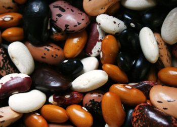 Governo manda recolher lotes de feijão impróprios para consumo