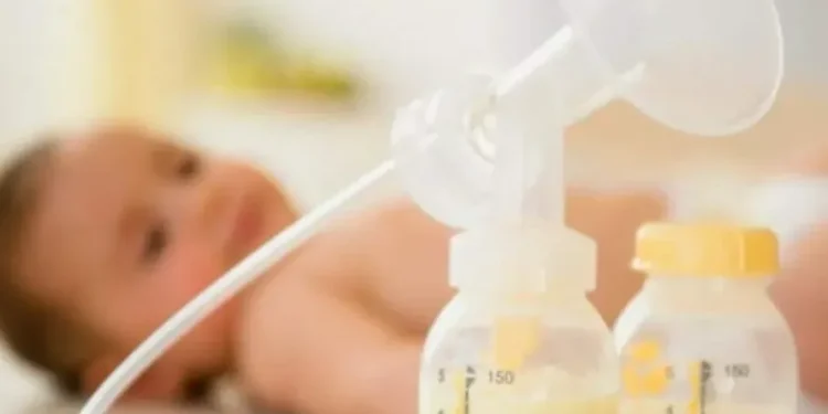 Mais de 74 mil litros de leite humano foram coletados nos últimos anos no Espírito Santo