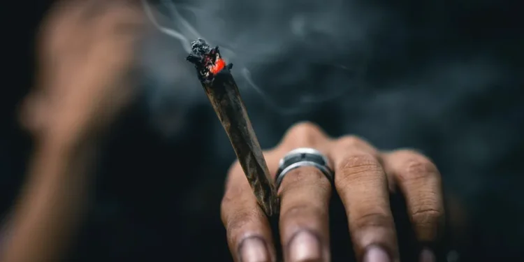 STF: saiba como está a discussão sobre porte de droga para uso pessoal
