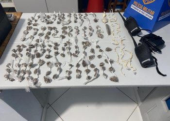 Polícia Militar apreende drogas e material do tráfico em Vila Valério