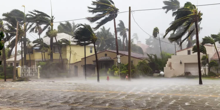 NOAA afirma que El Niño está de volta e prevê chance de 84% de intensidade moderada
