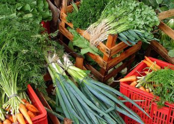 Câmara aprova recriação de Programa de Aquisição de Alimentos