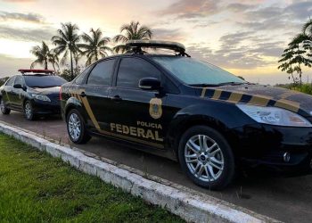 Suspeitos de caçar animais silvestres são alvos de operação em Linhares
