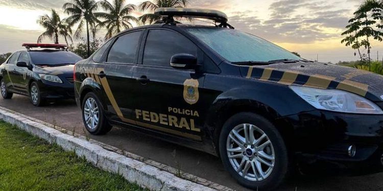 Suspeitos de caçar animais silvestres são alvos de operação em Linhares