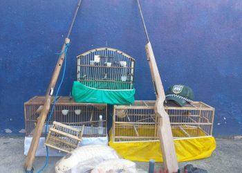 Polícia apreende armas e animais silvestres abatidos em Colatina e Linhares