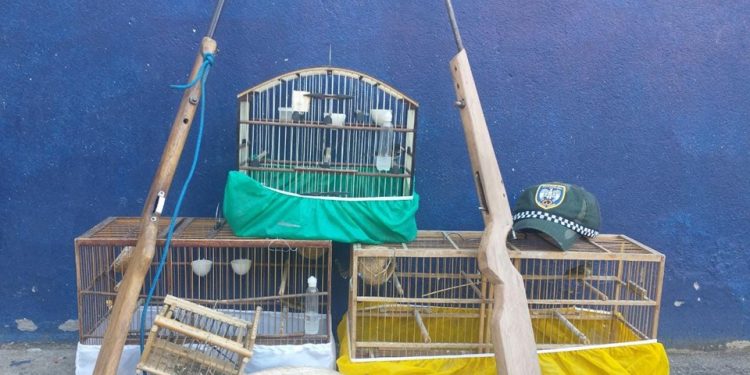 Polícia apreende armas e animais silvestres abatidos em Colatina e Linhares