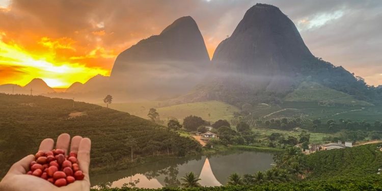 Três em cada quatro estabelecimentos rurais no Espírito Santo são de agricultura familiar